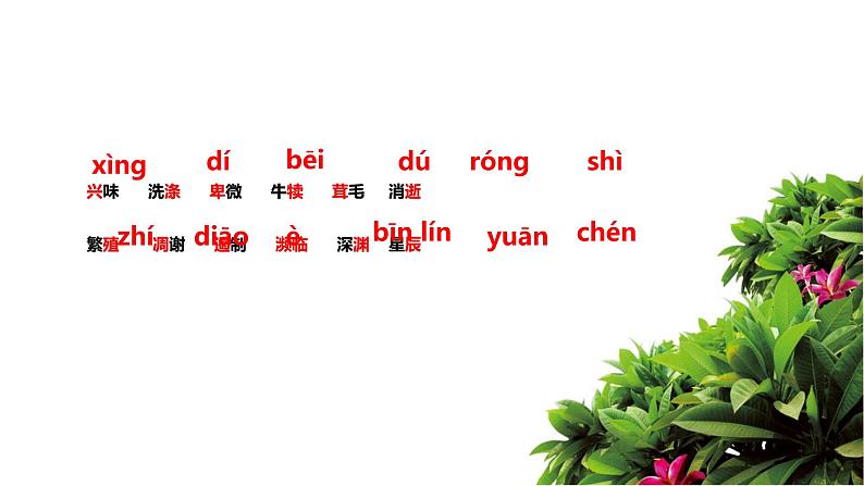 16 散文两篇 永久的生命 课件第7页