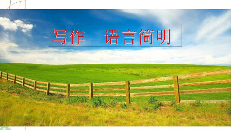 写作《语言简明》（第2课时）课件（19张PPT）+教案01