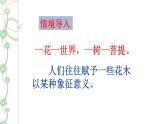 18紫藤萝瀑布 3课时课件(共65张PPT)+教案+导学案+同步检测+素材