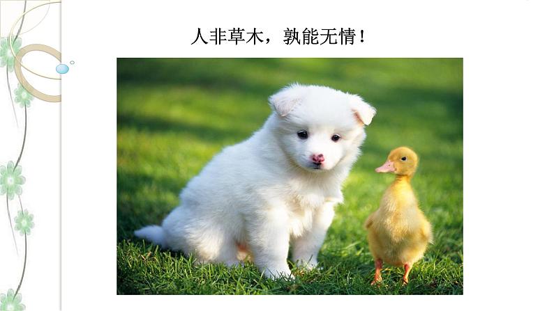 写作：学习抒情 课件(共34张PPT)+教案02