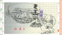 人教部编版七年级下册11 老王优秀ppt课件