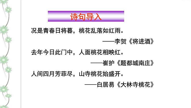 19 一棵小桃树 2课时课件(共62张PPT)+教案+导学案+同步检测+素材03