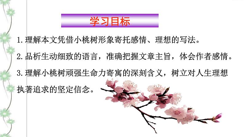 19 一棵小桃树 2课时课件(共62张PPT)+教案+导学案+同步检测+素材05