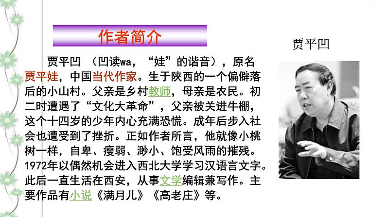 19 一棵小桃树 2课时课件(共62张PPT)+教案+导学案+同步检测+素材06