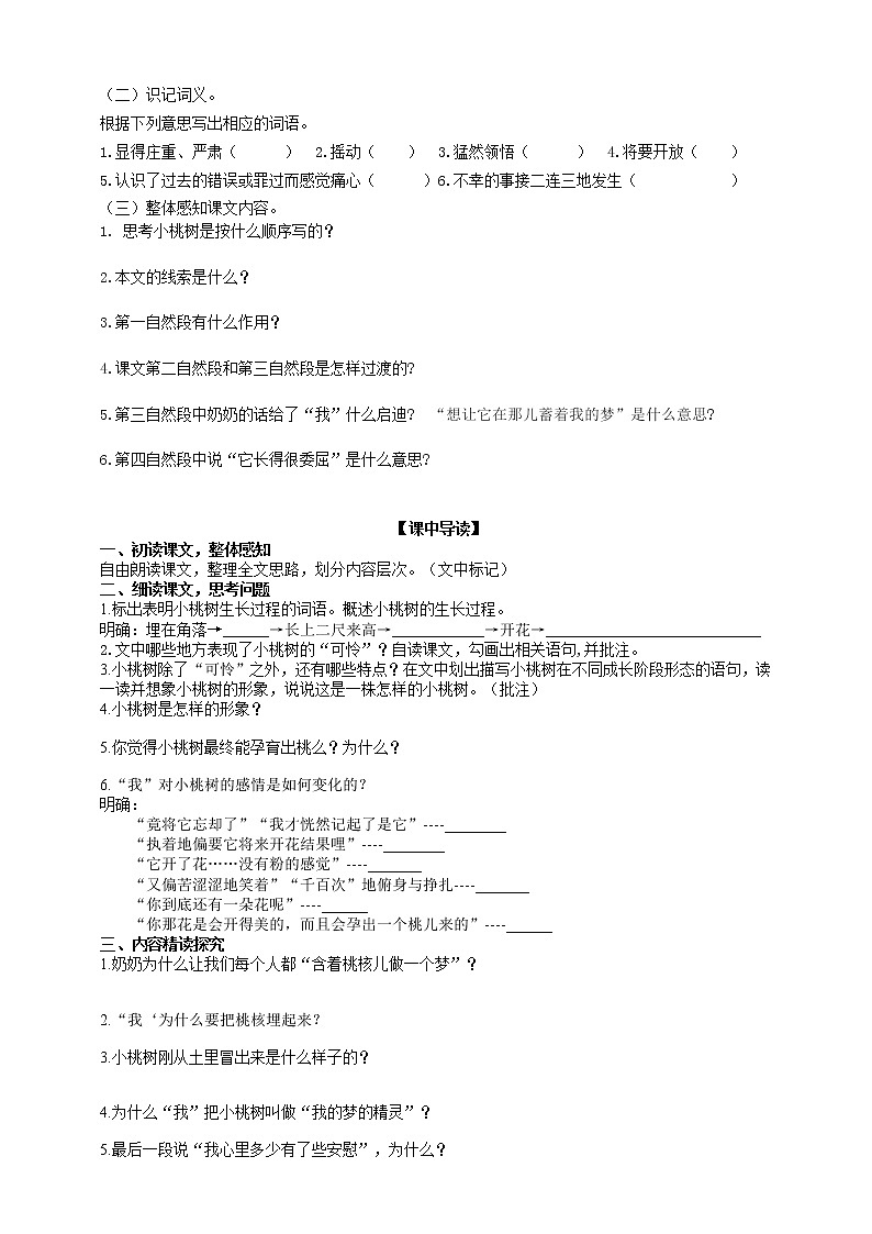 19 一棵小桃树 2课时课件(共62张PPT)+教案+导学案+同步检测+素材02