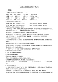 2021年四川省遂宁市七年级上学期语文期末考试试卷及答案