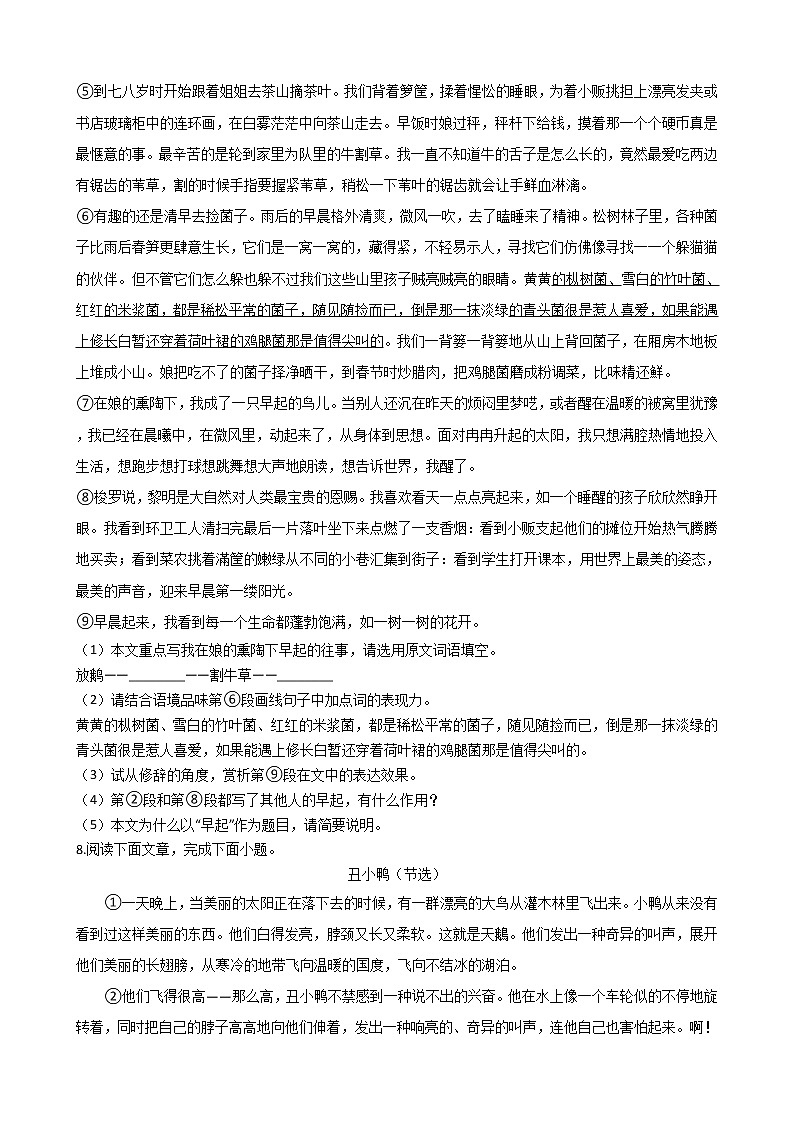 2021年河南省信阳市七年级上学期语文期末试题及答案第3页