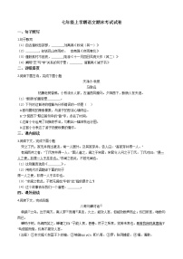 2021年上海市金山区七年级上学期语文期末考试试卷及答案