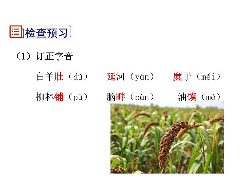 2021-2022学年度部编版八年级语文下册课件 2 回延安第6页