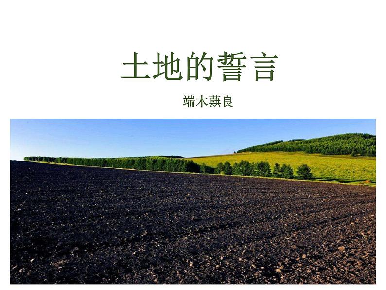 2021-2022学年度部编版七年级语文下册课件 8   土地的誓言01