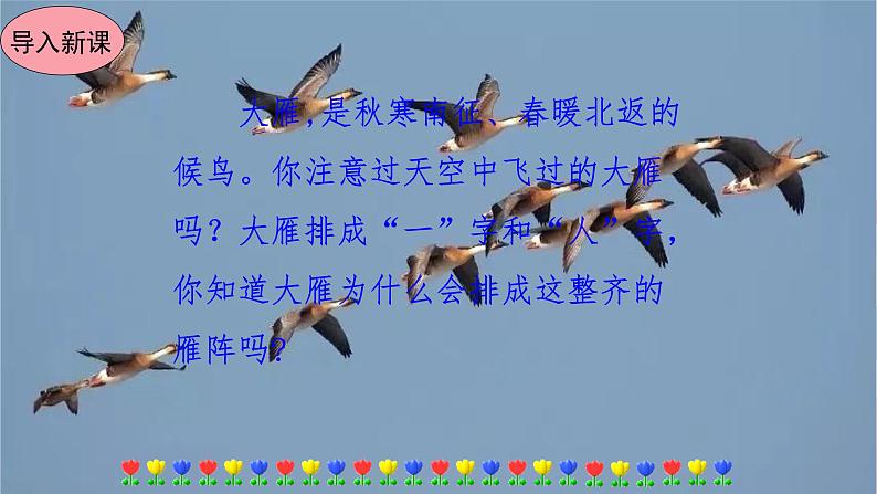 7大雁归来第2页