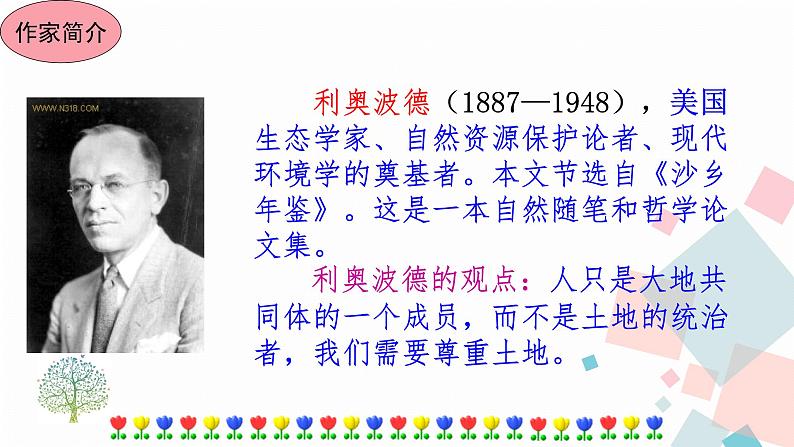 7大雁归来第5页