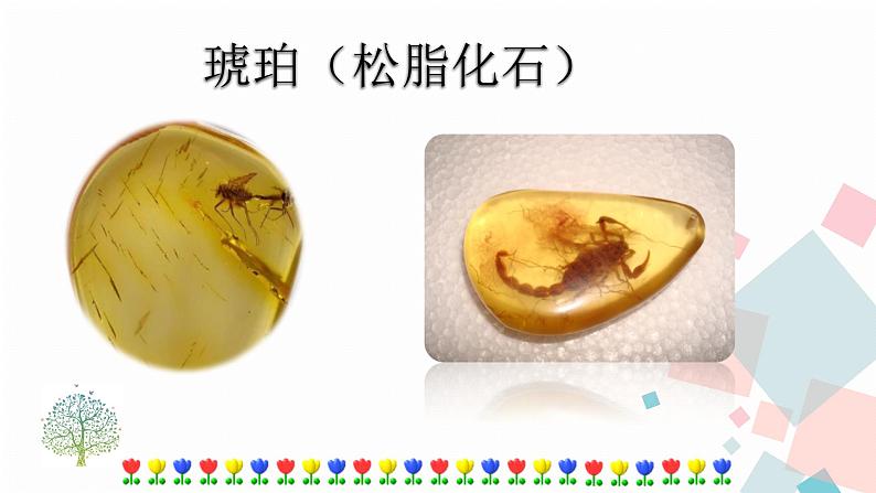 人教部编版语文八年级下册 8 时间的脚印（课件+教案+同步练习）04