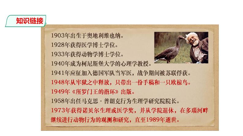 部编版七年级语文上册--第17课 动物笑谈 课件第5页