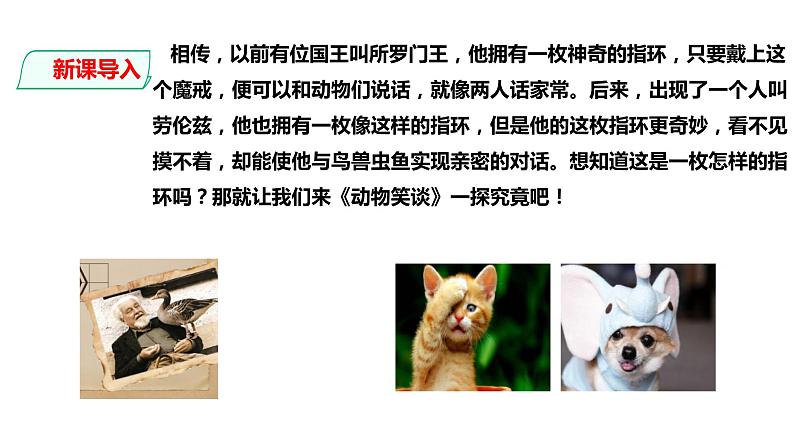 部编版七年级语文上册--第17课 动物笑谈 课件第7页