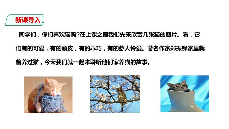 部编版七年级语文上册--第16课 猫（课件）第3页
