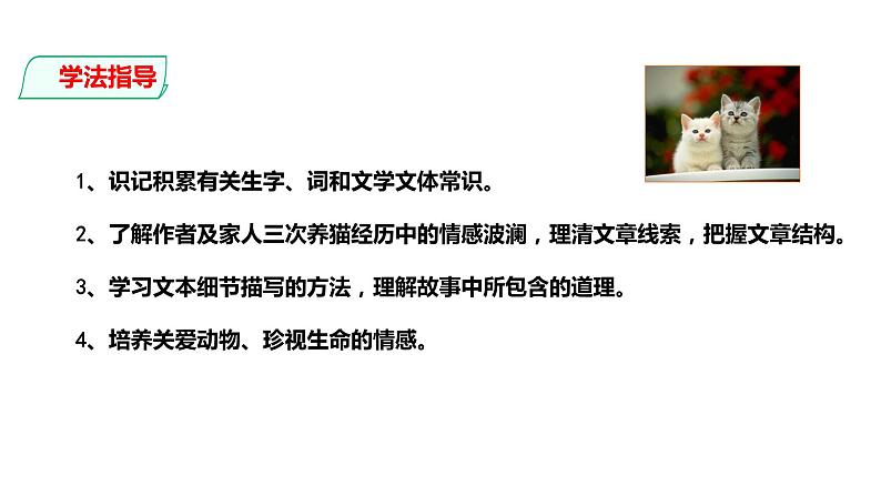 部编版七年级语文上册--第16课 猫（课件）第7页