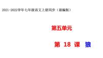 初中语文人教部编版七年级上册第五单元18 狼示范课课件ppt