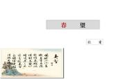 初中语文人教部编版八年级上册春 望评课课件ppt