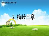 统编版语文九（下）第1单元 2《梅岭三章》课件PPT