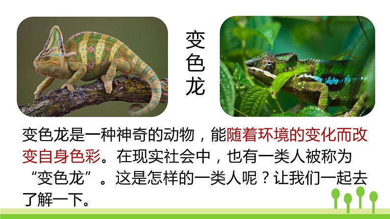 统编版语文九（下）第2单元 6《变色龙》课件PPT01