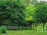 部编版七年级语文上册课件3.雨的四季（共25张PPT）