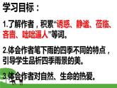 部编版七年级语文上册课件3.雨的四季（共25张PPT）