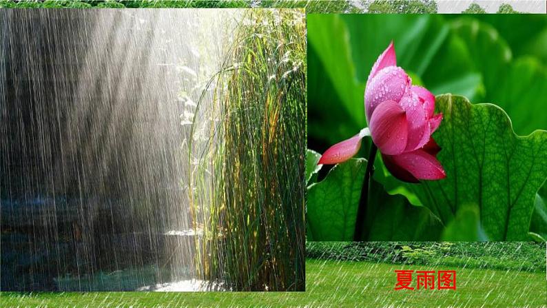 部编版七年级语文上册课件3.雨的四季（共25张PPT）第8页