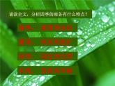 部编版七年级语文上册课件3.雨的四季 课件（共19张PPT）