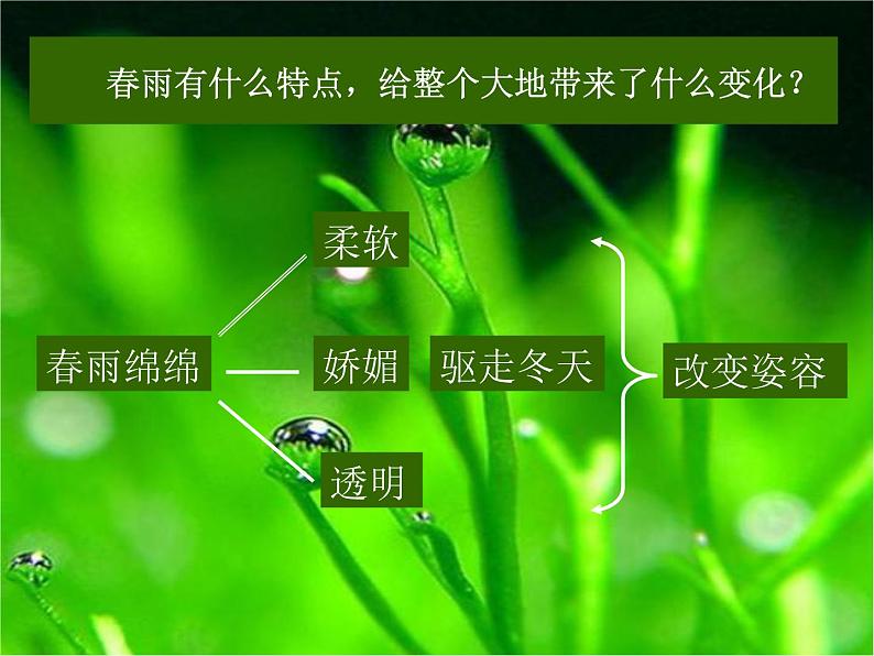 部编版七年级语文上册课件3.雨的四季 课件（共19张PPT）第7页