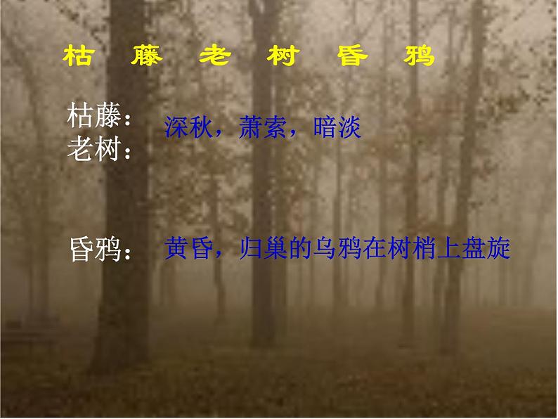 部编版七年级语文上册课件4.古诗词四首-天净沙·秋思课件11张PPT第3页