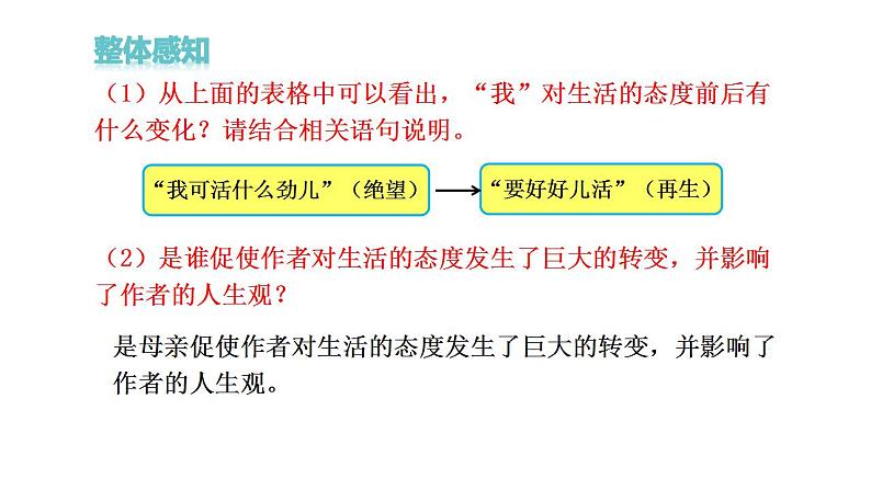 部编版七年级语文上册课件部编版第二单元第5课《秋天的怀念》课件（共24张ppt）07