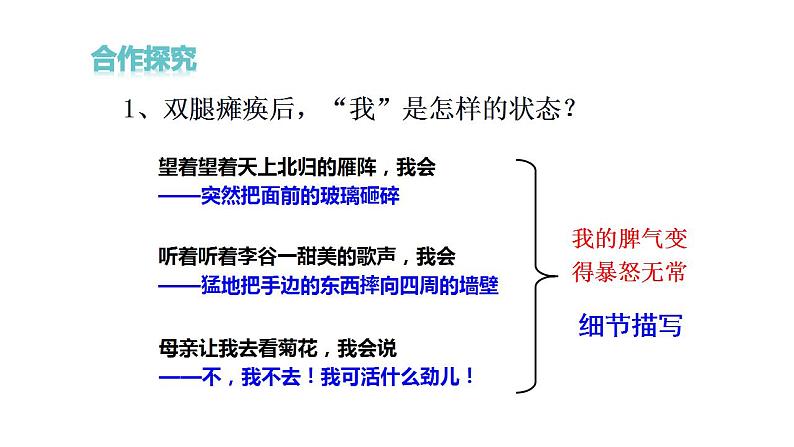 部编版七年级语文上册课件部编版第二单元第5课《秋天的怀念》课件（共24张ppt）08