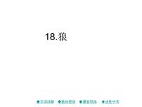 初中语文人教部编版七年级上册18 狼集体备课课件ppt