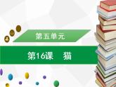 部编版七年级语文上册课件第16课　猫习题课件（共39张幻灯片）