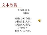 部编版七年级语文上册课件第4课古代诗歌四首——天净沙秋思课件（共18张幻灯片）