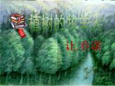 2021部编版七年级语文上册13《植树的牧羊人》课件PPT