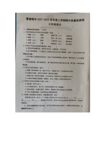 江西省景德镇市2021-2022学年七年级上学期期中质量检测语文试卷（含答案）