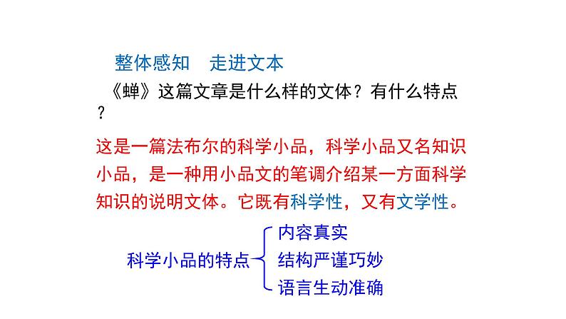 第21课《蝉》课件（共23张ppt）2021-2022学年部编版语文八年级上册05