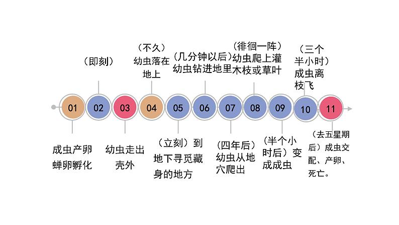第21课《蝉》课件（共23张ppt）2021-2022学年部编版语文八年级上册07
