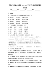 河南省驻马店市汝南县2021-2022学年八年级上学期期中语文试题（word版 含答案）