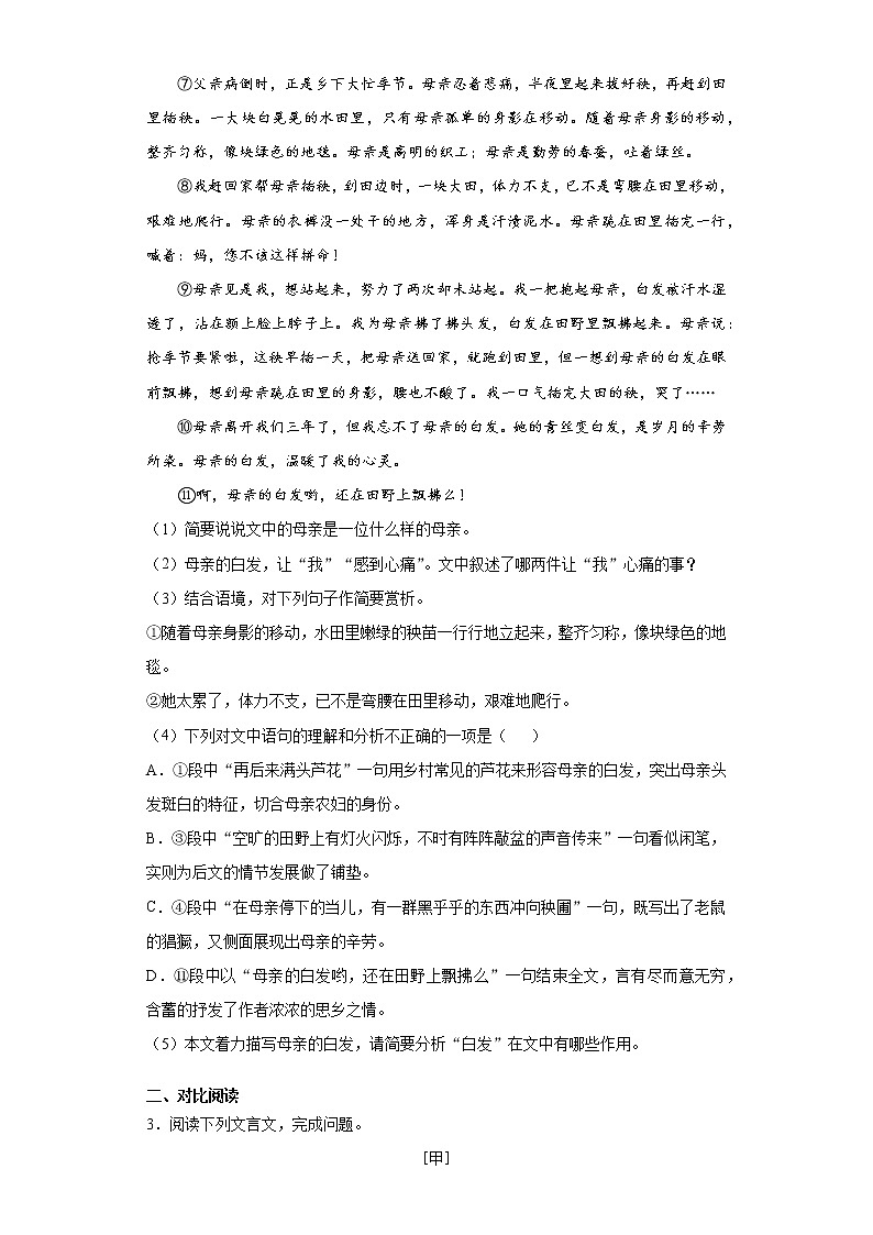 四川省泸州市龙马潭区2021-2022学年八年级上学期期中语文试题（word版 含答案）第3页