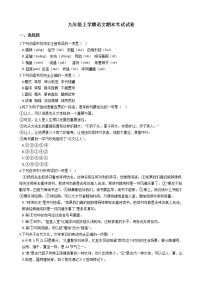 2021年陕西省延安市洛川县九年级上学期语文期末考试试卷及答案