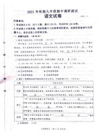 河南省南阳市南召县2021—2022学年九年级上学期期中考试语文试卷(无答案)