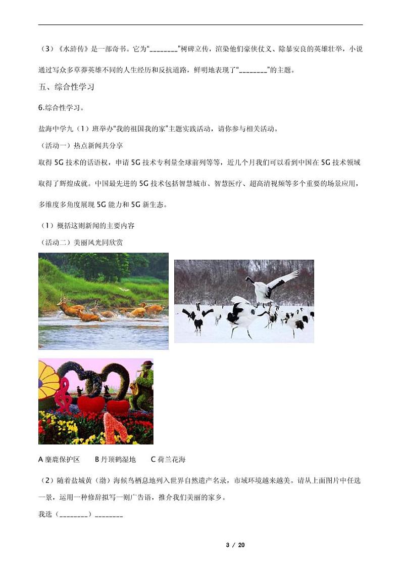 2021年江苏省盐城市亭湖区九年级上学期语文期末试卷03