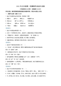 2021年江苏省徐州市中考一模语文试题