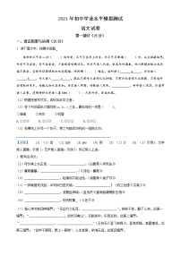 2021年江苏省徐州市中考一模语文试题