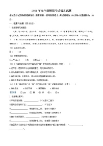 2021年江苏省徐州市  中考一模语文试题