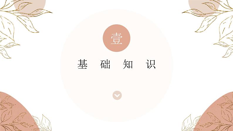 （精品）名著导读《简·爱》：外国小说的阅读 课件PPT+教案+练习02