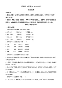 2021年四川省自贡市中考语文试题（原卷+解析）